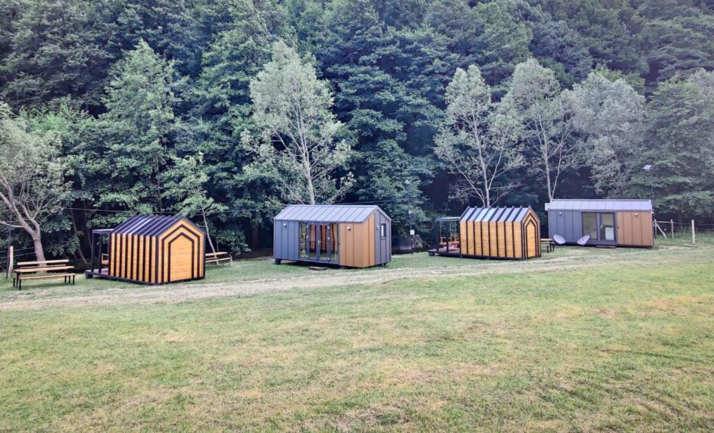Transfagarasan River Retreat Arefu Εξωτερικό φωτογραφία